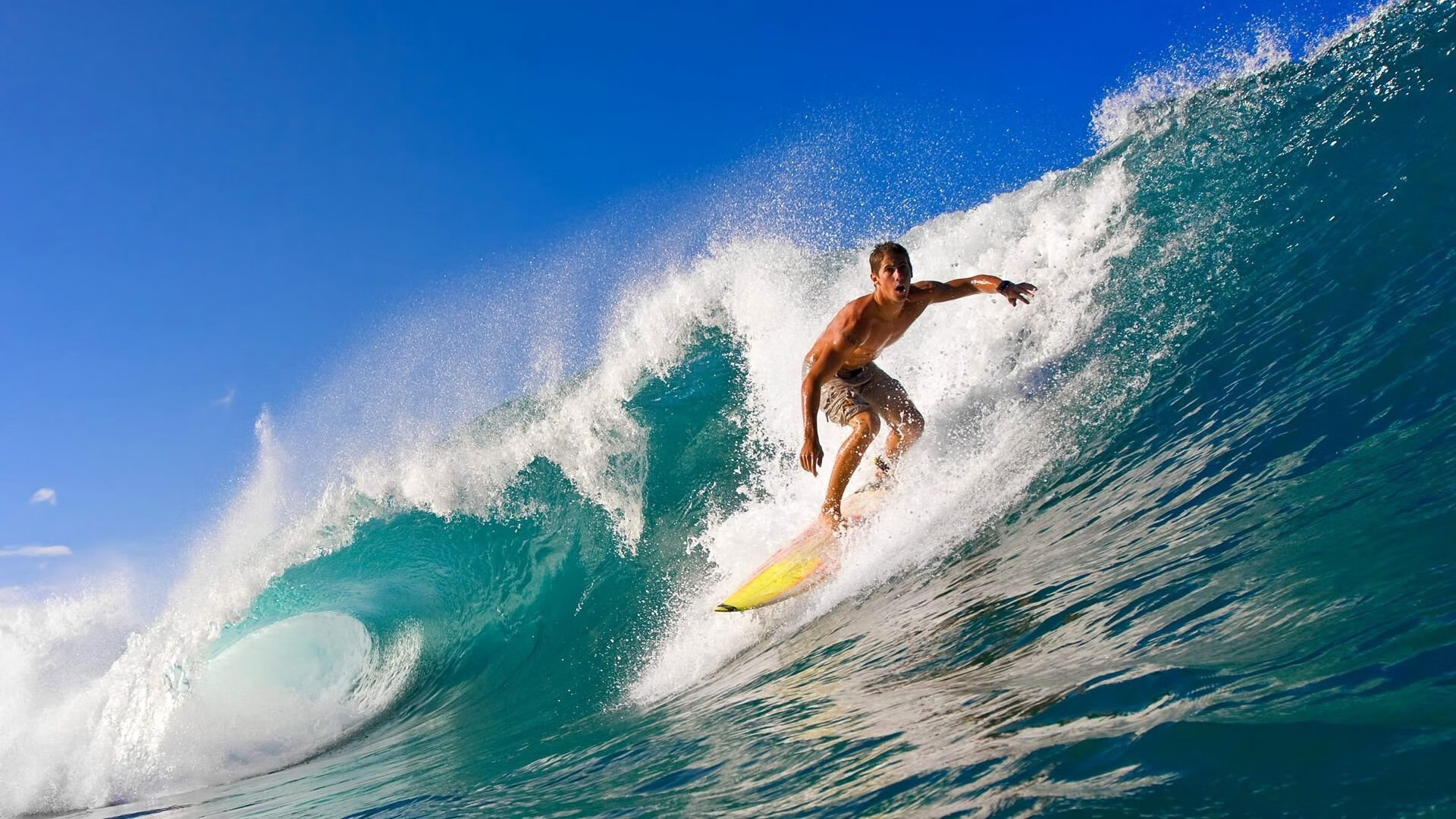 运动员康复管理新方案,运动员的康复训练